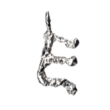 Laden Sie das Bild in den Galerie-Viewer, Coral Font Necklace