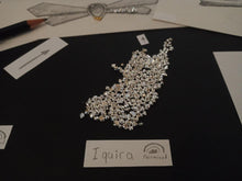 Laden Sie das Bild in den Galerie-Viewer, Cooming Soon: Fliege aus FAIRMINED Silber mit FAIRMINED ECO Gold